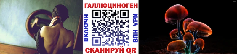купить наркотики сайты  Бологое  Галлюциногенные грибы Psilocybe 