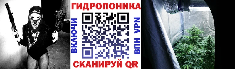 Бошки Шишки конопля Бологое